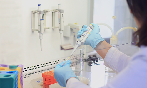 Bioquímica. Área de inmunología